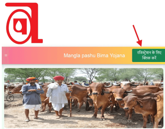 Mukhyamantri Mangala Pashu Bima Yojana